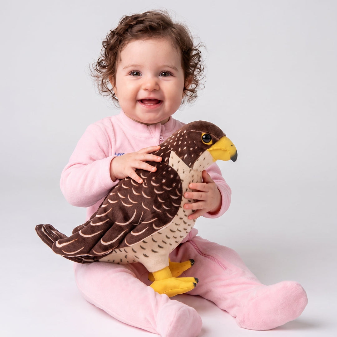 <font dir="auto" style="vertical-align: inherit;"><font dir="auto" style="vertical-align: inherit;">Nouvelle peluche aigle, oreiller animal amusant, poupée de chiffon pour filles, ventes directes d'usine, peluche oiseau à poils longs.</font></font>