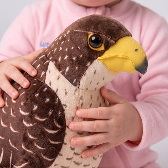 <font dir="auto" style="vertical-align: inherit;"><font dir="auto" style="vertical-align: inherit;">Nouvelle peluche aigle, oreiller animal amusant, poupée de chiffon pour filles, ventes directes d'usine, peluche oiseau à poils longs.</font></font>