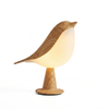 AromaGlow – Touch Nachtlamp met Diffuser