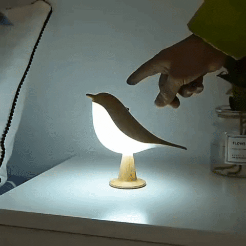 AromaGlow – Touch Nachtlamp met Diffuser